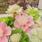Crepe Paper Flower for Wall Psprt Pom Pom Decor Girls Birthday Party Backdrop Baby Shower Nursery Room Decoration Pack of 9 (Pink Green)